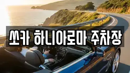 제주특별자치도 서귀포시 남원읍 렌트카 전문 쏘카 하니아로마 주차장