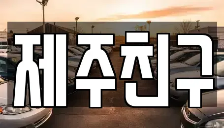 제주특별자치도 서귀포시 남원읍 렌트카 전문 제주친구