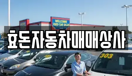 제주특별자치도 서귀포시 남원읍 중고차매매 전문 효돈자동차매매상사
