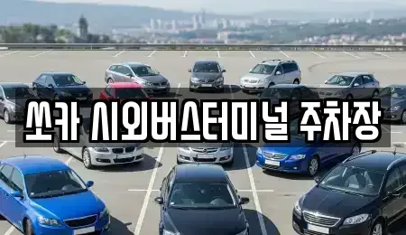 제주특별자치도 제주시 오라일동 렌트카 전문 쏘카 시외버스터미널 주차장