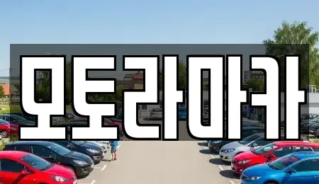 제주특별자치도 제주시 오라일동 중고차 전문 모토라마카