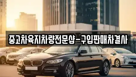 제주특별자치도 제주시 오라일동 중고차 전문 중고차육지차량전문샵-구입판매차결사