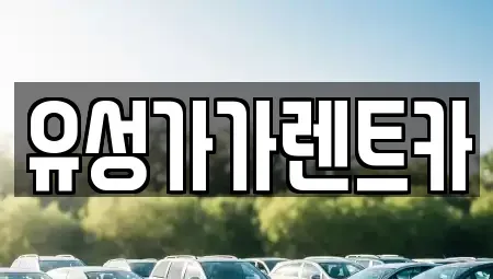 충남 계룡시 금암동 렌트카 전문 유성가가렌트카