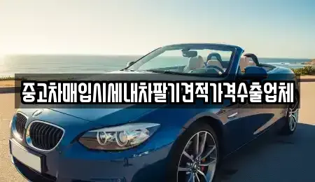 충남 계룡시 금암동 중고차 전문 중고차매입시세내차팔기견적가격수출업체