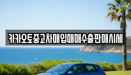 충남 계룡시 금암동 중고차 전문 카카오토중고차매입매매수출판매시세
