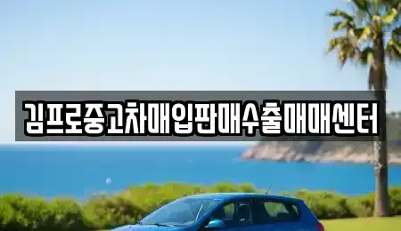 충남 계룡시 두마면 중고차매입 전문 김프로중고차매입판매수출매매센터