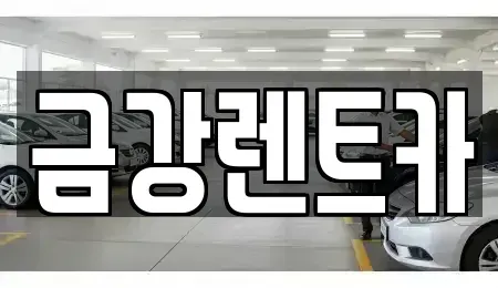 충남 서산시 성연면 렌트카 전문 금강렌트카