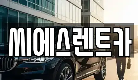충남 서산시 성연면 렌트카 전문 씨에스렌트카