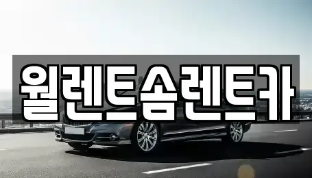 충남 아산시 법곡동 렌트카 전문 월렌트솜렌트카