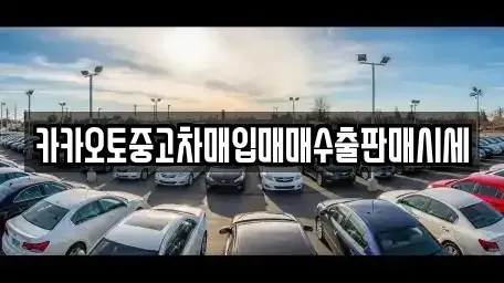 충남 아산시 법곡동 중고차매입 전문 카카오토중고차매입매매수출판매시세