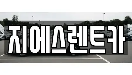 충남 천안시 서북구 와촌동 렌트카,단기렌트카,장기렌트카,중고차,중고차매매,중고차매입