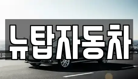 충남 천안시 서북구 와촌동 중고차 전문 뉴탑자동차