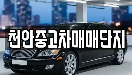 충남 천안시 서북구 와촌동 중고차매매 전문 천안중고차매매단지