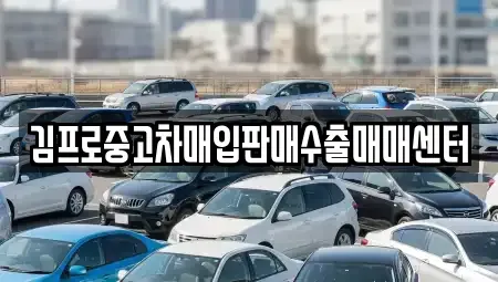 충남 천안시 서북구 와촌동 중고차매입 전문 김프로중고차매입판매수출매매센터
