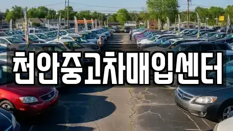충남 천안시 서북구 와촌동 중고차매입 전문 천안중고차매입센터