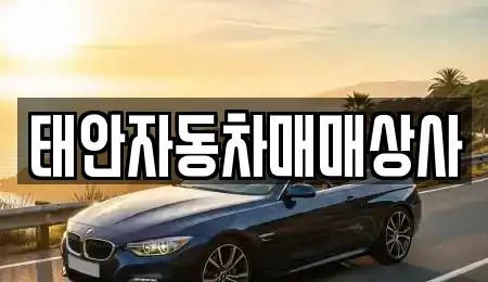 충남 태안군 태안읍 중고차매매 전문 태안자동차매매상사