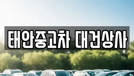 충남 태안군 태안읍 중고차매매 전문 태안중고차 대건상사