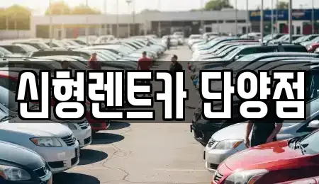 충북 단양군 단양읍 렌트카,단기렌트카,장기렌트카,중고차,중고차매매,중고차매입