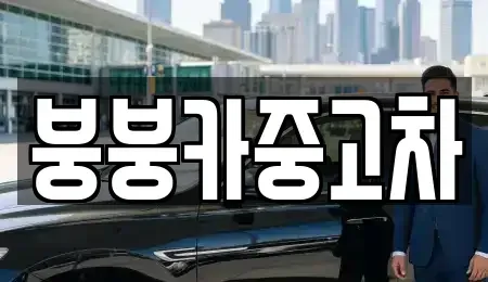 충북 단양군 단양읍 중고차 전문 붕붕카중고차