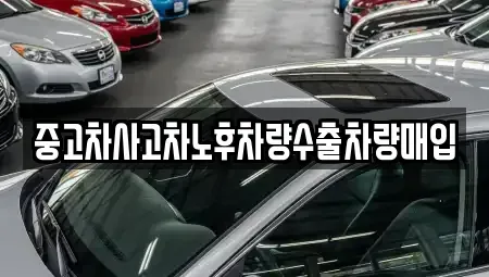 충북 영동군 심천면 중고차매입 전문 중고차사고차노후차량수출차량매입