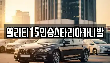 충북 제천시 모산동 렌트카 전문 쏠라티15인승스타리아카니발