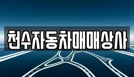 충북 제천시 모산동 중고차 전문 천수자동차매매상사