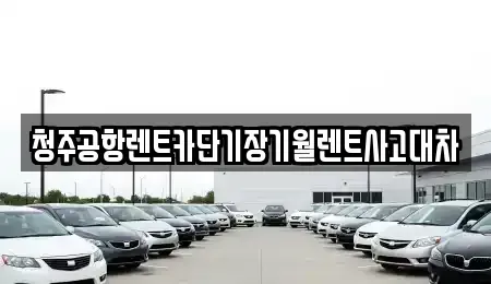 충북 청주시 상당구 운동동 렌트카 전문 청주공항렌트카단기장기월렌트사고대차