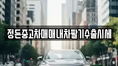 충북 청주시 상당구 운동동 중고차 전문 정든중고차매매내차팔기수출시세