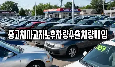 충북 청주시 상당구 운동동 중고차매입 전문 중고차사고차노후차량수출차량매입