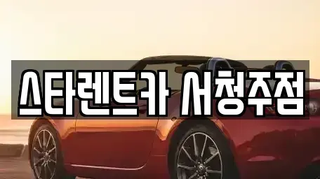충북 청주시 청원구 정북동 렌트카 전문 스타렌트카 서청주점