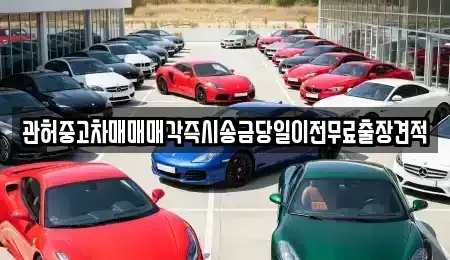 충북 청주시 청원구 정북동 중고차매매 전문 관허중고차매매매각즉시송금당일이전무료출장견적
