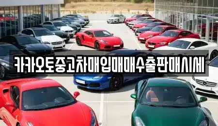 충북 청주시 청원구 정북동 중고차매입 전문 카카오토중고차매입매매수출판매시세