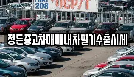 충북 충주시 수안보면 중고차매매 전문 정든중고차매매내차팔기수출시세