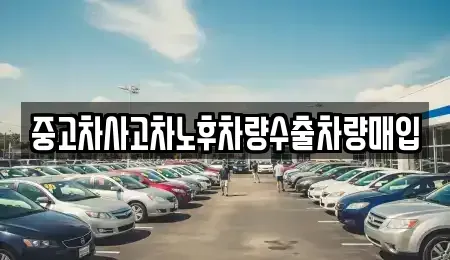 충북 충주시 수안보면 중고차매입 전문 중고차사고차노후차량수출차량매입