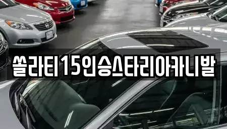 충북 충주시 직동 렌트카 전문 쏠라티15인승스타리아카니발