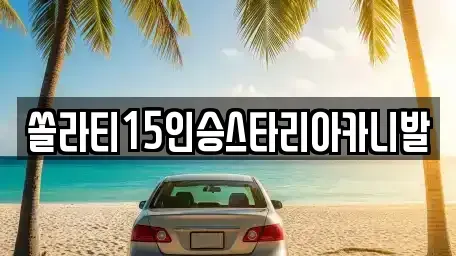 충북 충주시 풍동 렌트카 전문 쏠라티15인승스타리아카니발