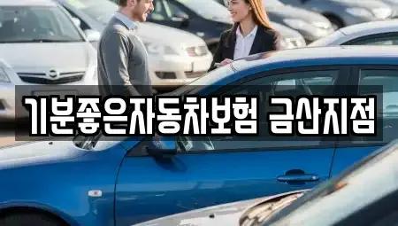 충청남도 금산군 금산읍 렌트카 전문 기분좋은자동차보험 금산지점