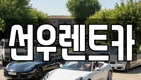 충청남도 금산군 금산읍 렌트카 전문 선우렌트카