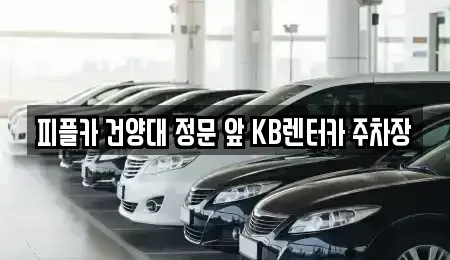 충청남도 논산시 은진면 렌트카 전문 피플카 건양대 정문 앞 KB렌터카 주차장