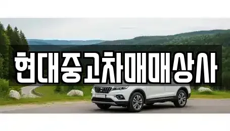 충청남도 논산시 은진면 중고차 전문 현대중고차매매상사
