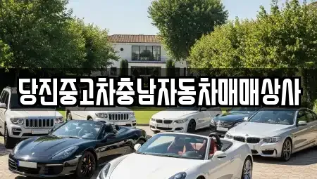 충청남도 당진시 행정동 중고차 전문 당진중고차충남자동차매매상사