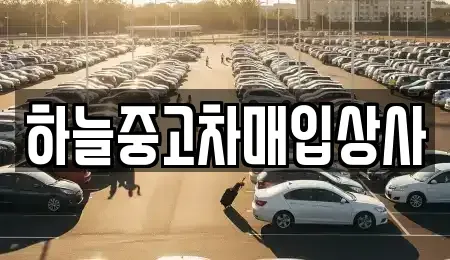 충청남도 당진시 행정동 중고차매입 전문 하늘중고차매입상사