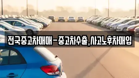 충청남도 보령시 명천동 중고차 전문 전국중고차매매-중고차수출,사고노후차매입