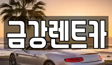 충청남도 서산시 대산읍 렌트카 전문 금강렌트카