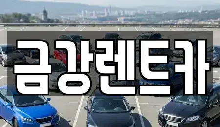 충청남도 서산시 인지면 렌트카 전문 금강렌트카