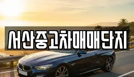 충청남도 서산시 인지면 중고차 전문 서산중고차매매단지