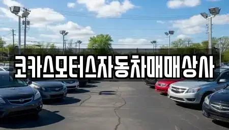 충청남도 서산시 인지면 중고차 전문 코카스모터스자동차매매상사