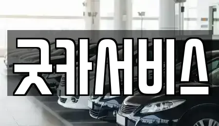 충청남도 천안시 서북구 부대동 단기렌트카 전문 굿카서비스