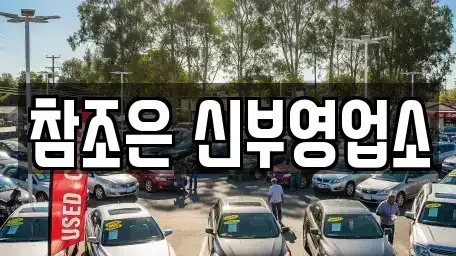충청남도 천안시 서북구 부대동 단기렌트카 전문 참조은 신부영업소