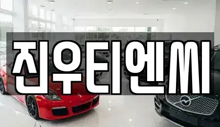 충청남도 천안시 서북구 부대동 중고차 전문 진우티엔씨